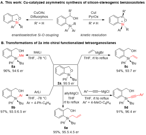 b809c5705696b7e089a97a5e6efb16d1 b809c5705696b7e089a97a5e6efb16d1