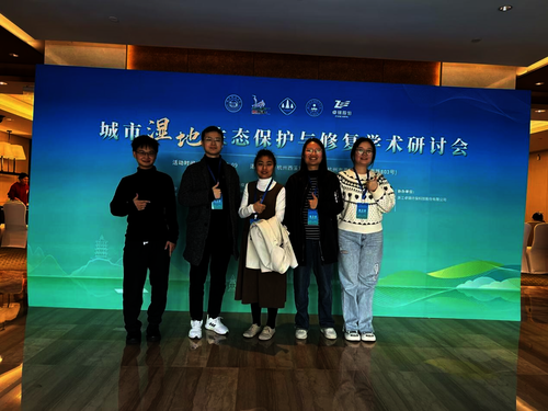 图片6