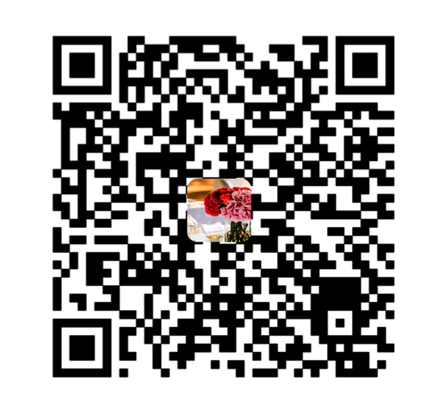 钉钉咨询码
