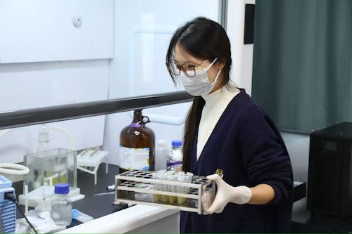 微信图片_20260313103056_204_961