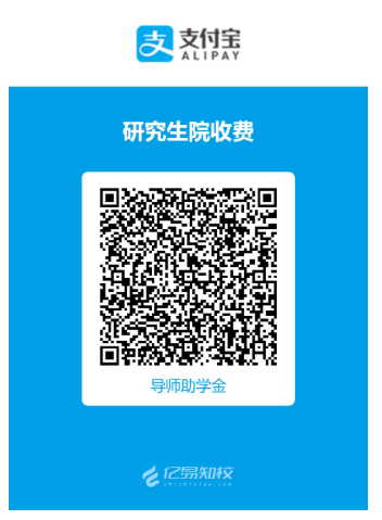 图片8